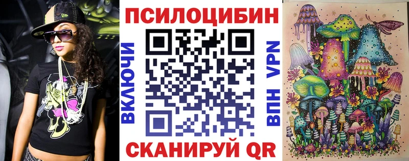 наркота  Адыгейск  Псилоцибиновые грибы Cubensis 
